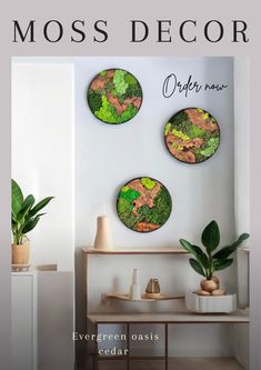 moss decor is featured on the wall above a table with potted plants in it