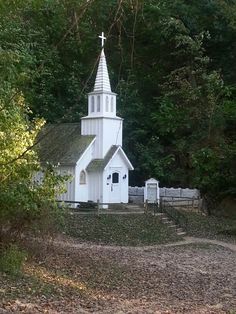 a white church with a steeple surrounded by trees