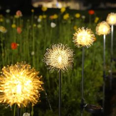 some lights that are in the grass near flowers and plants with long stems on them