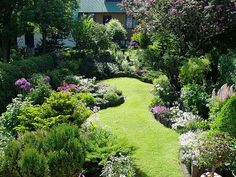 the garden is full of flowers and trees