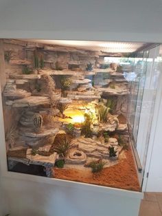 a fish tank filled with lots of plants and rocks