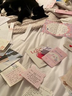 a black cat laying on top of a bed covered in lots of post it notes