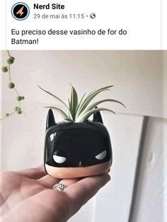 a hand holding a small planter with an air plant in the shape of a batman