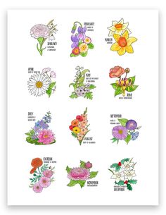 an image of flowers that are in the middle of each flower bouquet, with different colors and sizes