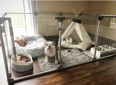 a dog sitting in front of a mirror on top of a wooden floor next to a cat bed