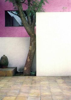 a tree in front of a white wall with a pink and white paint color scheme