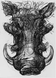 a black and white drawing of a cow's head with large, curled horns