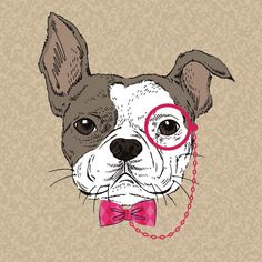 a dog with glasses and a bow tie on a beige background, the image is drawn by hand