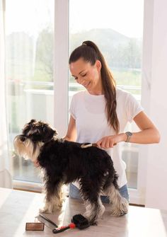 a woman grooming a dog with a brush and comb in front of a window