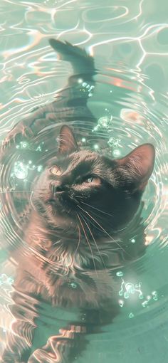 a cat is swimming in the water with its head above the water's surface