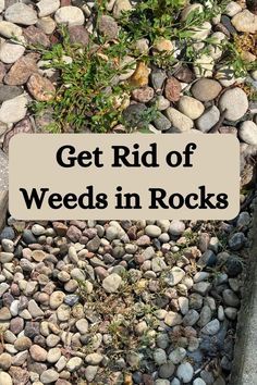 a sign that says get rid of weeds in rocks