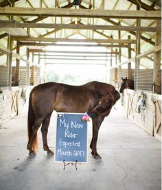 a brown horse standing next to a chalkboard with a sign in it's mouth