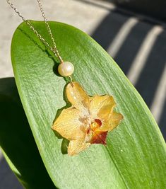 Real Preserved Orchid Flower Necklace  Each piece is a unique, one-of-a-kind necklace, featuring real orchid flowers dried and encased in resin to preserve their natural beauty. This beautiful statement jewelry or unforgettable gift will retain the beauty of nature forever.  All chains and hooks are 14k gold filled. They are tarnish resistant and hypoallergenic. Features: ❀ Real Preserved Flowers: Contains genuine orchid flowers, carefully selected and preserved to maintain their color and delicate form. ❀ 14k Gold-Filled Chain & Hooks: Tarnish-resistant and hypoallergenic 14k gold-filled material, ensuring durability, comfort, and a touch of luxury that will last for decades (much longer than gold-plated materials). ❀ Gemstone: Genuine ethically sourced pearl stone Care Tips ❀ Avoid prolo Luxury Handmade Flower Pendant Necklace, Unique Flower-shaped Resin Jewelry, Unique Resin Flower Jewelry, Unique Orchid Jewelry For Gift, Unique Orchid Colored Jewelry For Gift, Unique Orchid-colored Jewelry As A Gift, Unique Orchid-colored Jewelry Gift, Unique Gold Jewelry With Pressed Flowers, Botanical Style Gold Resin Jewelry