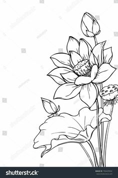 a black and white drawing of a flower