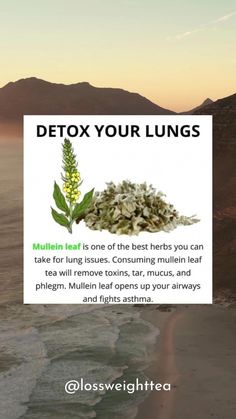 Cleanse Lungs, The Egg Diet, Medical Herbs, Sick Remedies, Resep Diet, Natural Colon Cleanse, Home Health Remedies