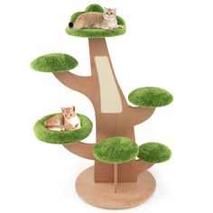 two cats sitting on top of a tree with grass growing all around it and one cat laying in the middle