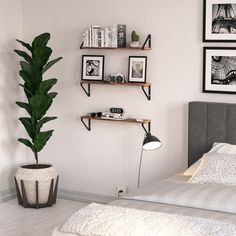 a bedroom with white walls and two shelves on the wall, one has a plant in it