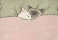 a drawing of a cat sleeping on top of a pink blanket with its head resting on the pillow