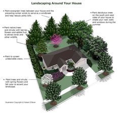 an overview of landscaping around your house