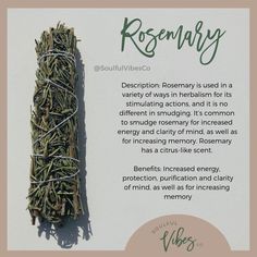 a piece of rosemary on top of a white background with the words rosemary written below it