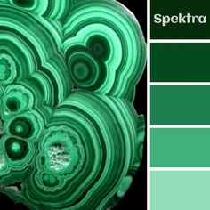 a green color scheme with the words spektra on it and an image of some plants