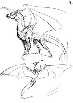 a black and white drawing of a dragon on a surfboard