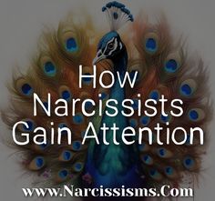 How Narcissists Gain Attention - Narcissisms.Com Attention Seeking, In The Spotlight, Blog Article, Cute Pictures