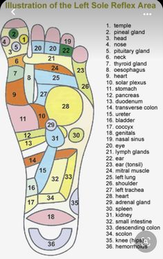 Reflexology Pressure Points, Ear Reflexology, Pressure Point Therapy, Reflexology Foot Chart, Foot Reflexology Massage, Hand Reflexology, Massage Therapy Techniques, Reflexology Chart, Reflexology Massage