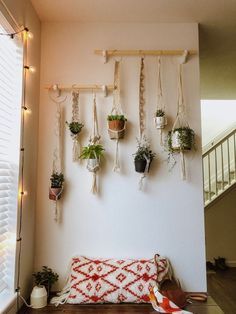 a room with some plants hanging on the wall and a bench in front of it