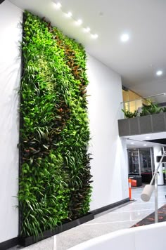 an indoor living wall with plants growing on it