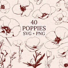 40 poppies svg and png