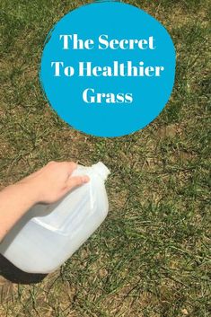 a hand holding a plastic container with the text, the secret to healthier grass