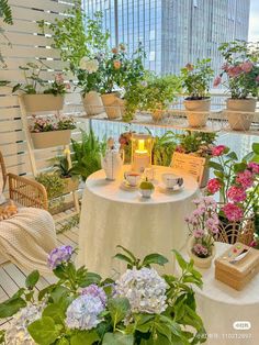 a table topped with lots of potted plants next to chairs and tables covered in flowers