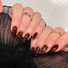 A tortoise fall🤎 #nails #nailart #naildesigns #nailsofinstagram #nailsnailsnails #nailsmagazine #nailsonfleek #nailstyle #nailtrends #nailartist #nailinspo #fallnails #fall #tortoisenails Tortishell And Red Nails Design, Dark Red Tortoise Shell Nails, Burgundy And Tortoise Shell Nails, Tortice Nails, Tortoise Nails With Red, Animal Print French Nails, Tortoise Print Nails, Cheetah Print Almond Nails, Short Tortoise Shell Nails