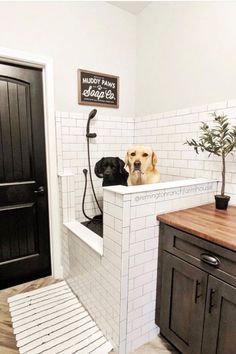 a dog sitting on top of a bath tub next to a wooden counter in a bathroom