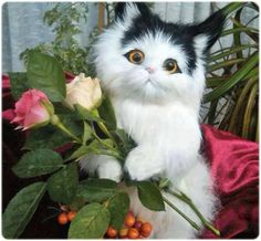 a black and white cat sitting next to a pink rose