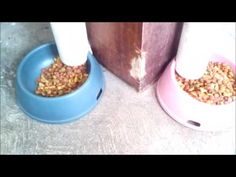 two blue bowls with food in them on the floor next to a brown suitcase and a white pole