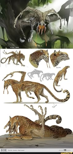 an image of different types of animals in the wild, including cheetah and leopards