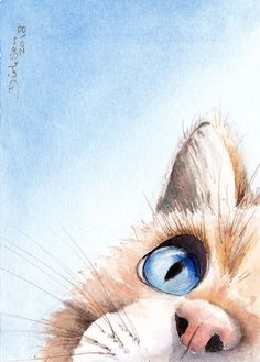 a drawing of a cat's face with blue eyes