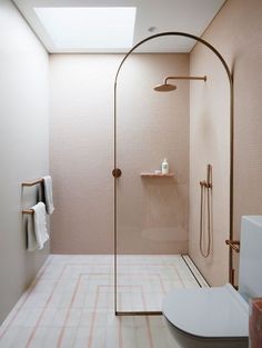 a bathroom with a walk in shower next to a white toilet and bathtub under a skylight