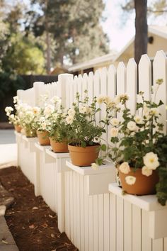 white picket fence with potted flowers on each side