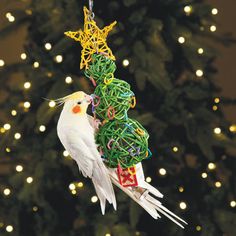 a bird that is hanging from a christmas tree