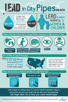 the dangers of lead in city pipes and how to use them infographical poster