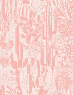 a pink and white wallpaper with cacti