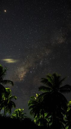 the night sky is filled with stars and palm trees in front of some dark clouds