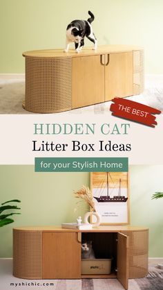 a cat sitting on top of a wooden cabinet in the middle of a room with text overlay that reads hidden cat litter box ideas for your stylish home