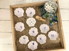 shells and seashells are arranged in a sand tray with numbers on them for counting