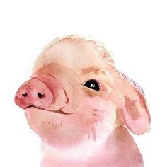 a watercolor painting of a baby pig