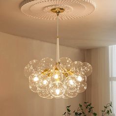 a chandelier hanging from the ceiling in a room with white walls and plants