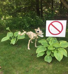 a skeleton dog standing in the grass next to a sign